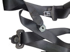 RAM1500   2016 Seat Belt Rear 620344