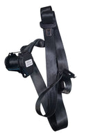 ATLAS     2021 Seat Belt Rear 647672