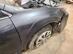 Passenger Right Fender Wagon Outback Fits 22-25 LEGACY 672676