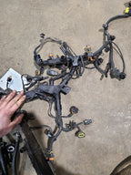 RAM1500   2016 Engine Wire Harness 620423