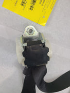 SILVRDO25 2010 Seat Belt Rear 605978