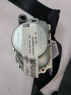 REAR F250SD    2021 Center Retractor Seat Belt Rear 562538