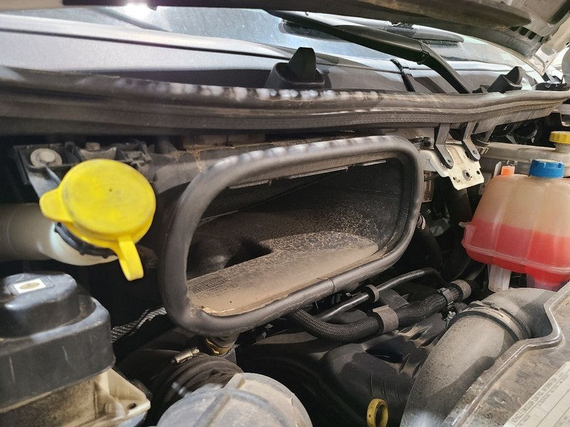 PROMAST15 2019 Cowl 670499