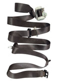 SILVRDO15 2017 Seat Belt Rear 600714