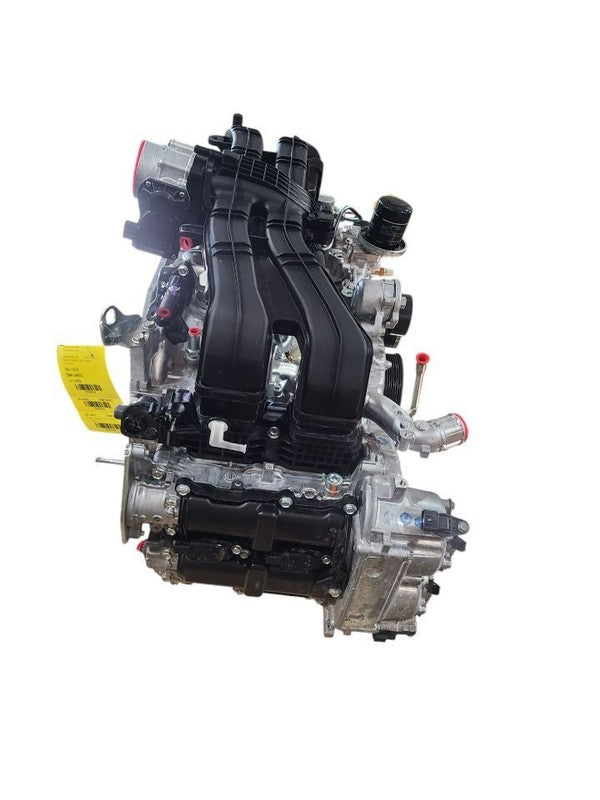 OUTBAKLEG 2024 Engine 608506