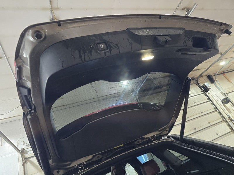 Trunk/Hatch/Tailgate Power Lift Fits 16-18 MKX 616878