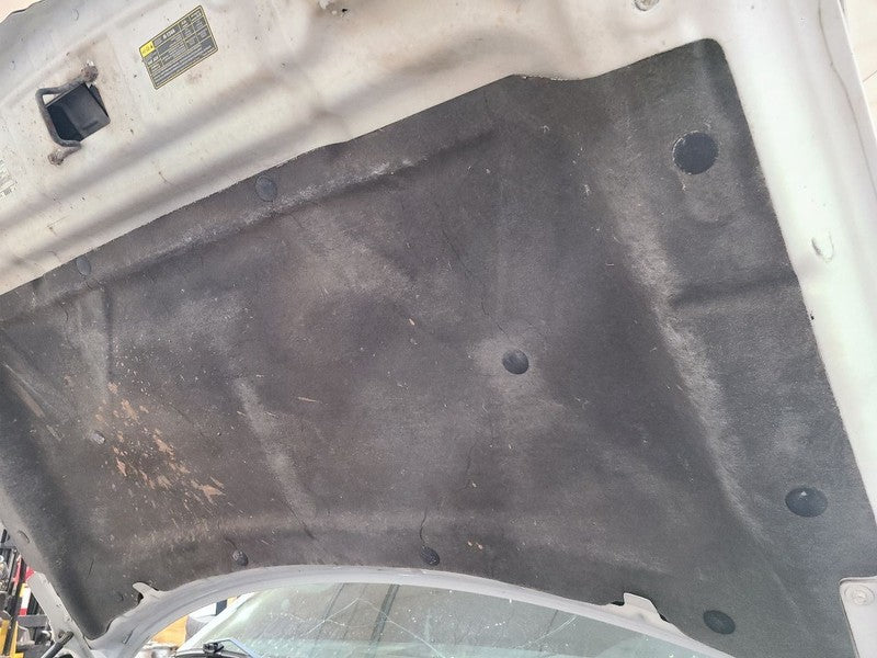 Hood Fits 09-14 FORD F150 PICKUP 664967