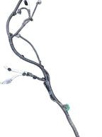 QX80      2017 Engine Wire Harness 648139