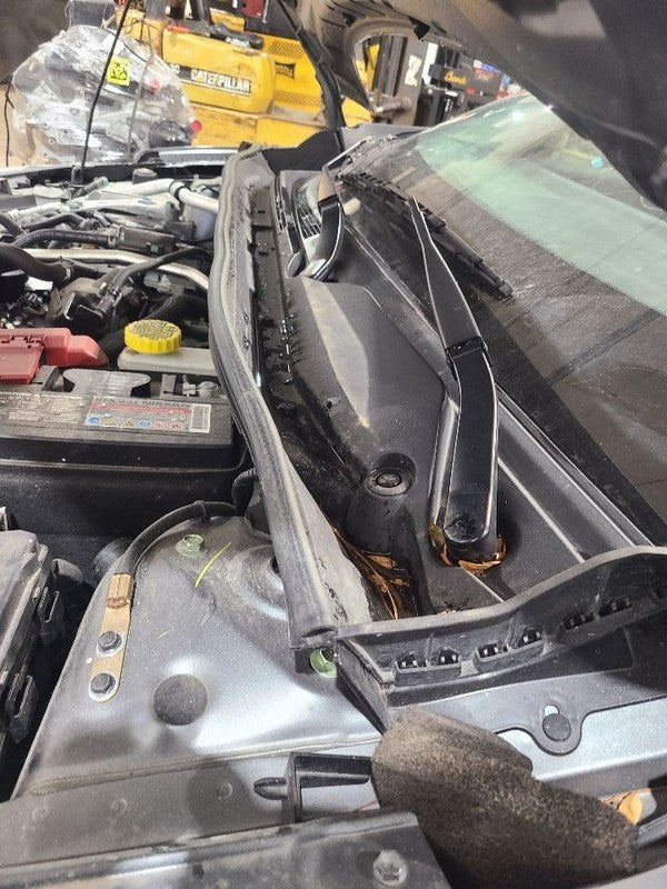 SENTRA    2023 Cowl 650443
