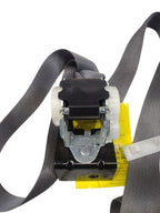 SIERRA150 2014 Seat Belt Rear 616784