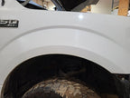 Passenger Fender Without Wheel Lip Moulding Fits 15-20 FORD F150 PICKU