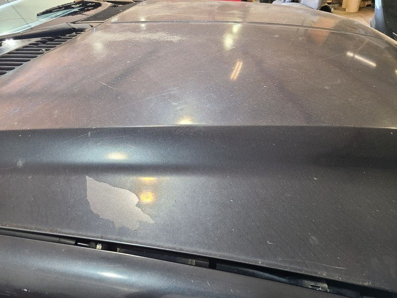 Hood Fits 99-07 FORD F250SD PICKUP 677236