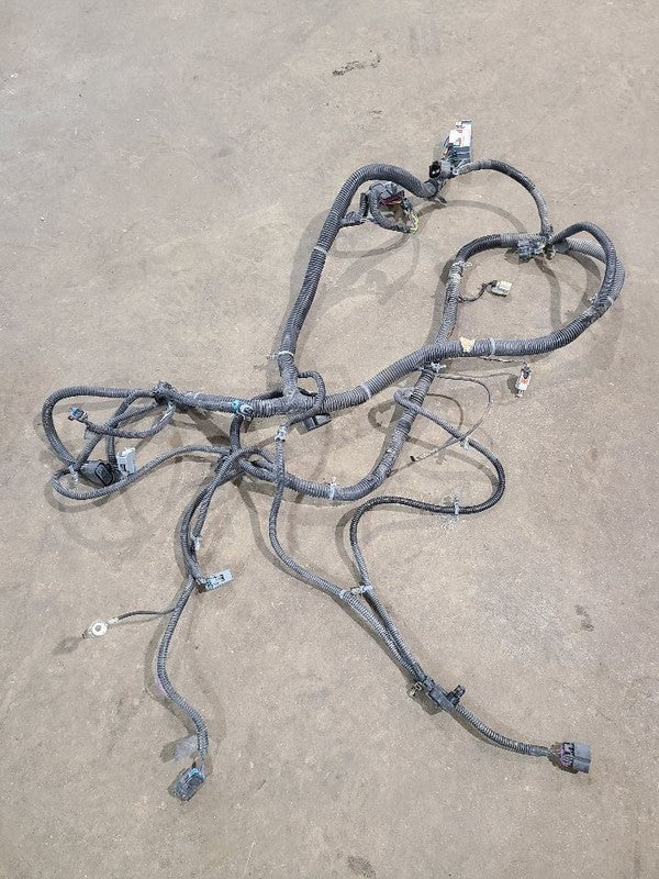 SIEDENALI 2010 Lamp Wiring Harness 613215
