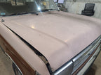 Hood Fits 87-91 BRONCO 649446
