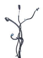 ESCALAESV 2010 Lamp Wiring Harness 645314