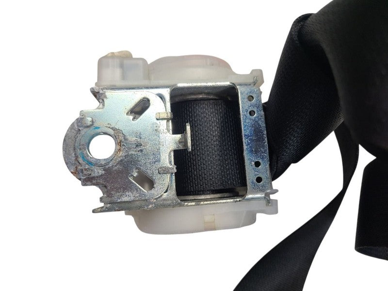 WRANGENEW 2018 Seat Belt Rear 662057