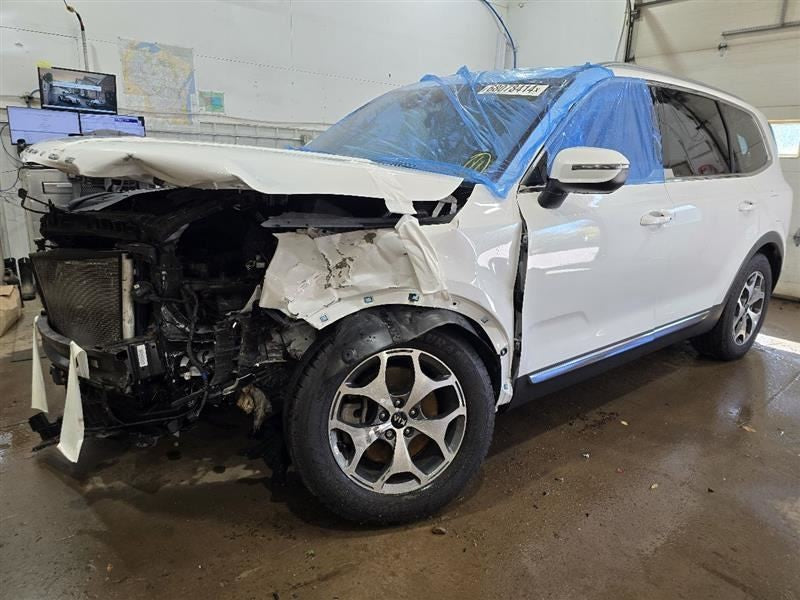 TELLURIDE 2020 Seat Belt Rear 601519