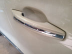 Passenger Door Handle Exterior Door Handle Only Fits 19-23 NAUTILUS 67
