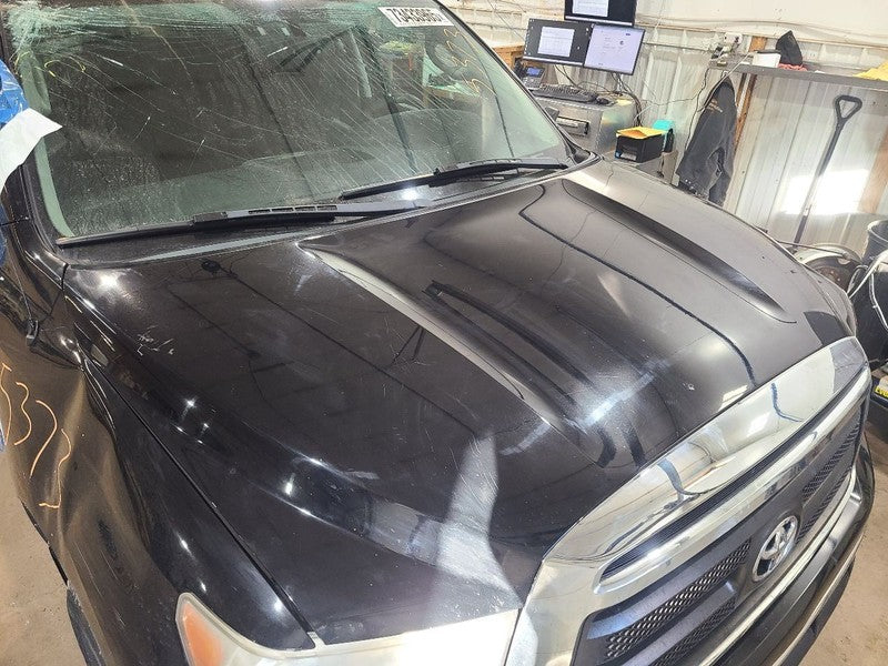 Hood Fits 08-22 SEQUOIA 657075
