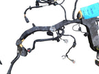 F250SD    2008 Engine Wire Harness 643252