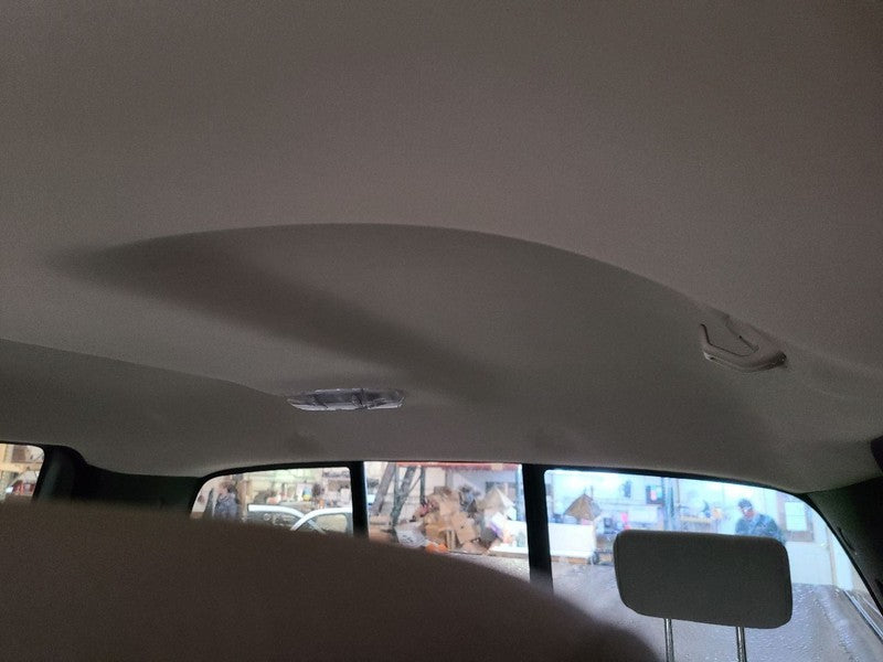 F150      2009 Headliner 677524