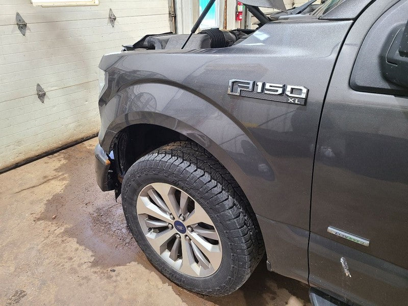Driver Fender Without Wheel Lip Moulding Fits 15-20 FORD F150 PICKUP 6