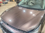 Hood Fits 15-19 LEGACY 666361