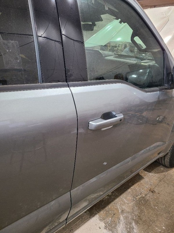 Passenger Right Front Door Electric Fits 21-25 FORD F150 PICKUP 680177