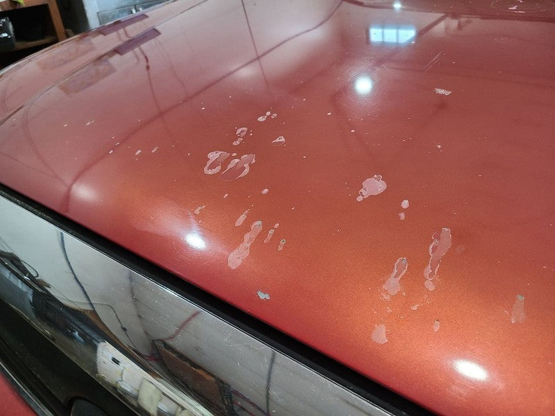 Hood Without Hood Scoop Fits 05-11 TACOMA 674765