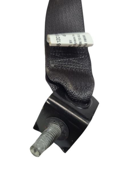 FLEX      2018 Seat Belt Rear 598460