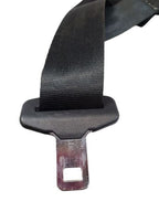 FOCUS     2017 Seat Belt Rear 601041