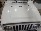 Hood Fits 97-06 WRANGLER 658101
