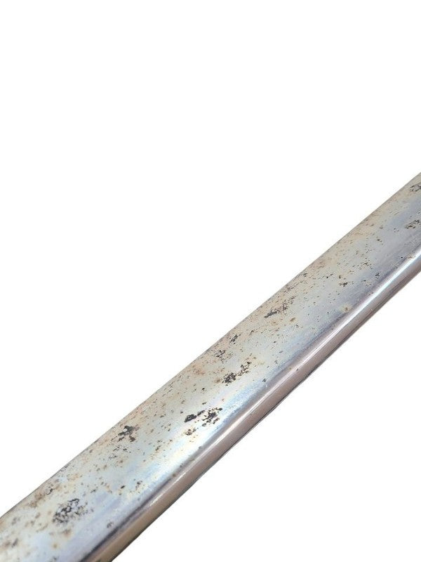 DART      1975 Rocker Panel Moulding 668137