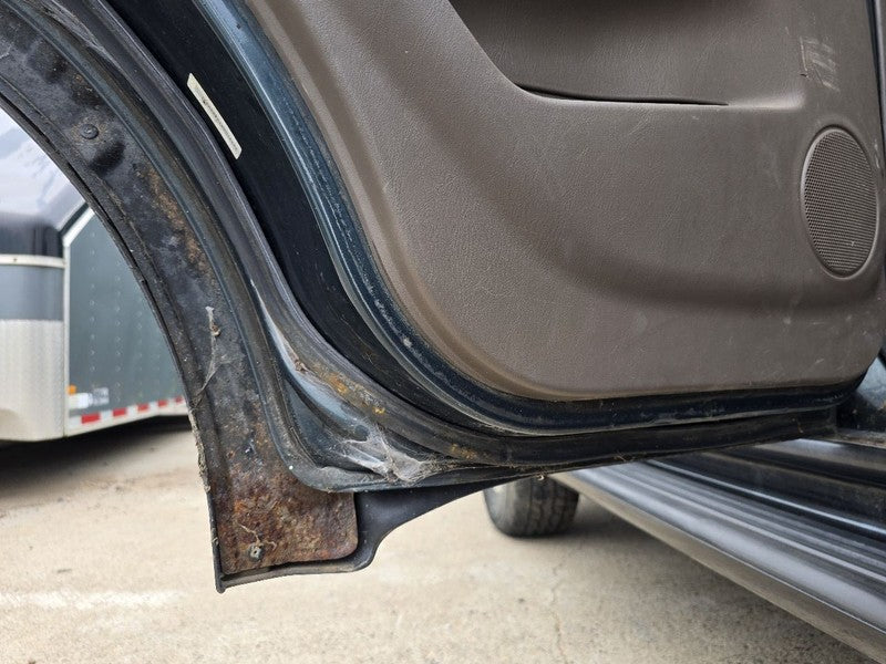 Driver Rear Side Door Limited Body Side Moulding Fits 96-02 4 RUNNER 6