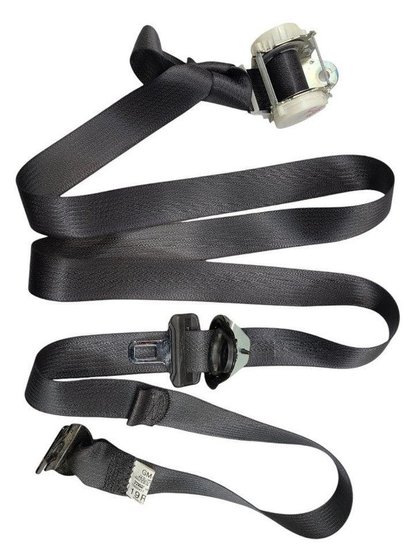 SIEDENALI 2010 Seat Belt Rear 613149