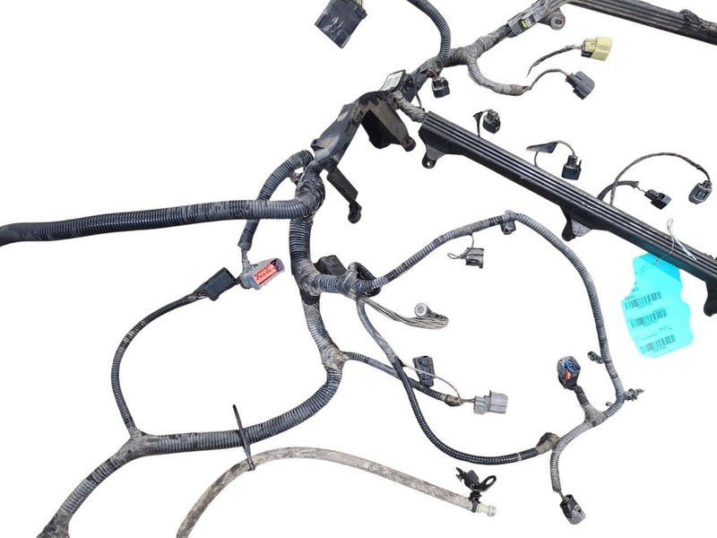 WRANGLER  2006 Engine Wire Harness 655562
