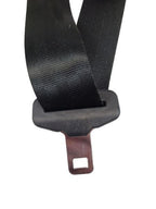 FOCUS     2017 Seat Belt Rear 601039