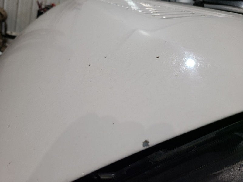 Hood Fits 14-22 PROMASTER 1500 VAN 670498