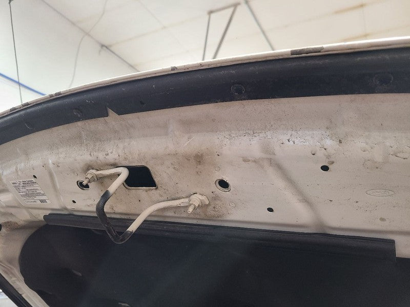 Hood Fits 16-19 EXPLORER 666128