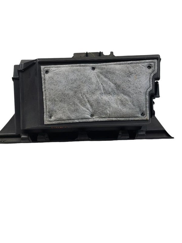TERRAIN   2010 Glove Box 618417