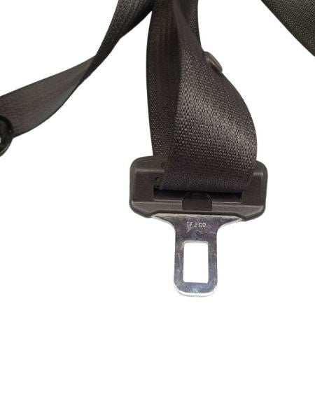 ESCALAESV 2011 Seat Belt Rear 587558
