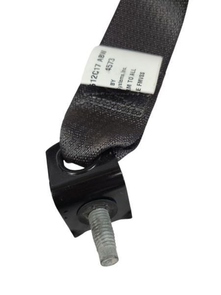 FLEX      2018 Seat Belt Rear 598459