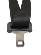CARAVAN   2009 Seat Belt Rear 599163