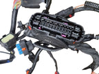 TESLA 3   2023 Under Hood Front Subframe Body Wire Harness 578305