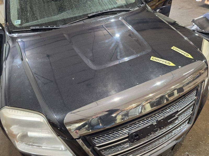 Hood Fits 10-15 TERRAIN 618511