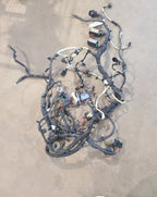 RAM1500   2016 Engine Wire Harness 669227