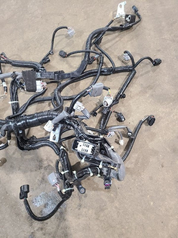 OUTBAKLEG 2024 Engine Wire Harness 608562