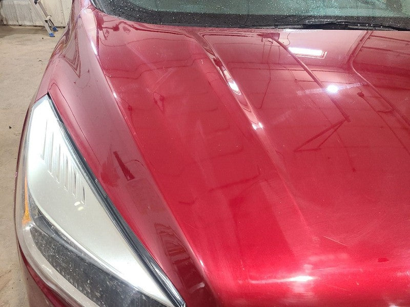 Hood Fits 17-19 ESCAPE 650580