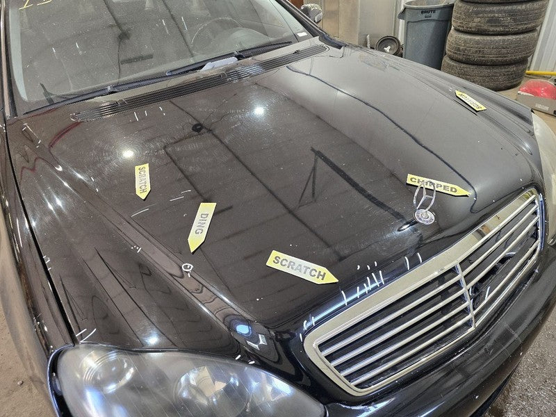 Hood 220 Type S430 Fits 00-02 MERCEDES S-CLASS 628952