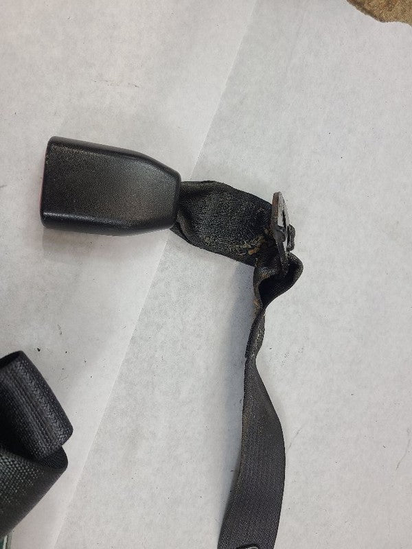 TAURUS    2013 Seat Belt Rear 604830